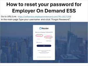 Bayview Payroll - Payroll Processing Company in South Florida